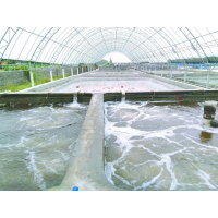 養蝦先養水！養水的關鍵核心原來是它！