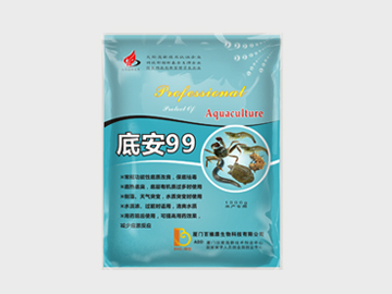 底安99